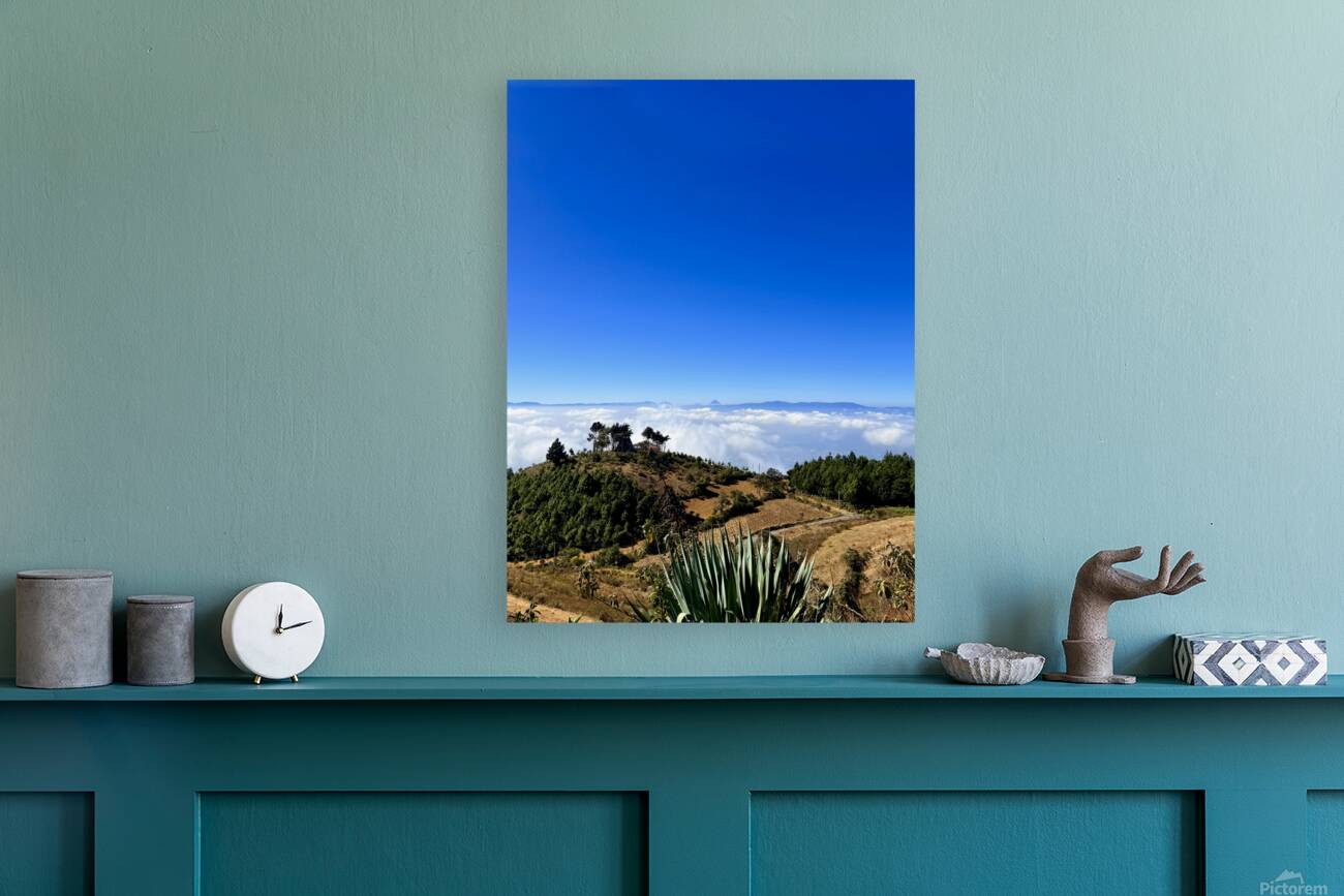 IMG 9129 Reproduction