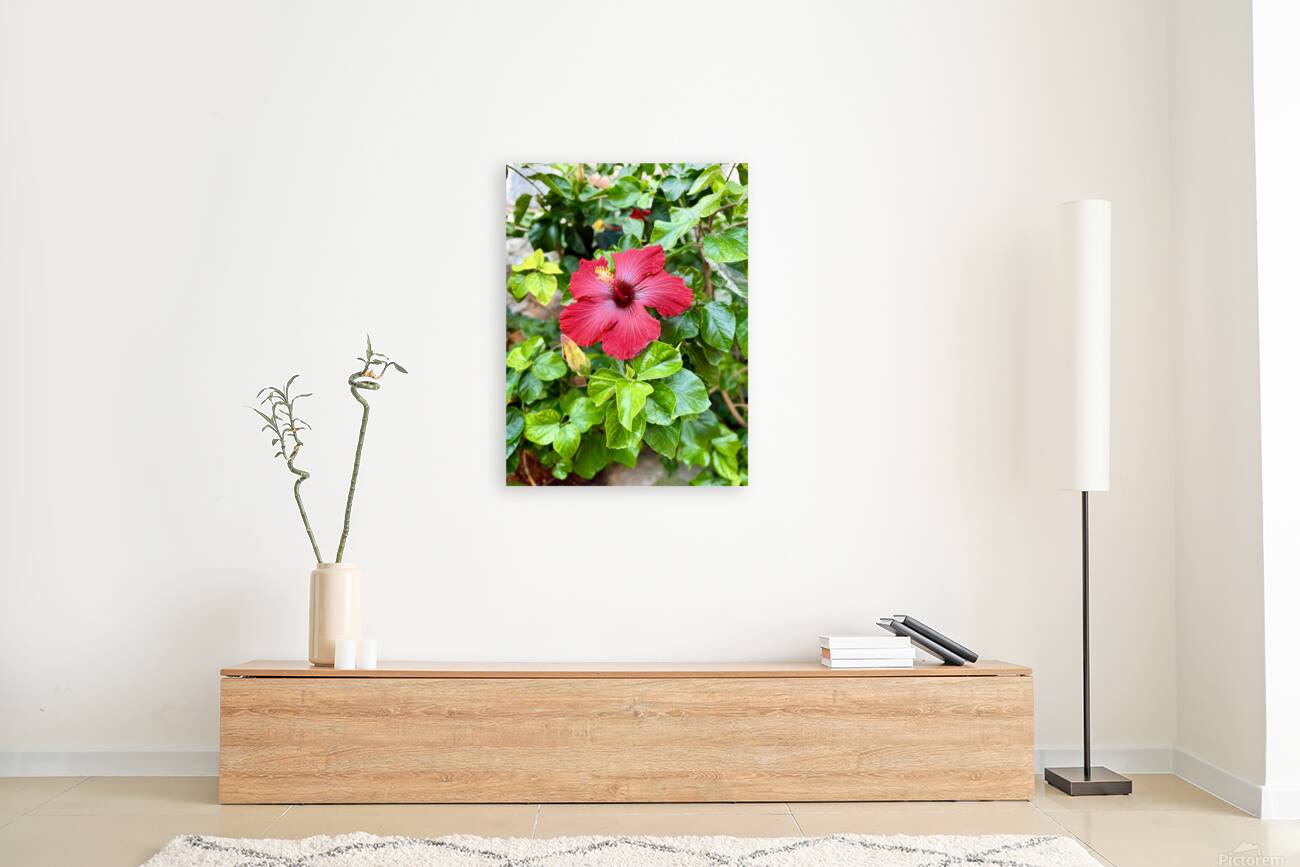 IMG 9958 Reproduction