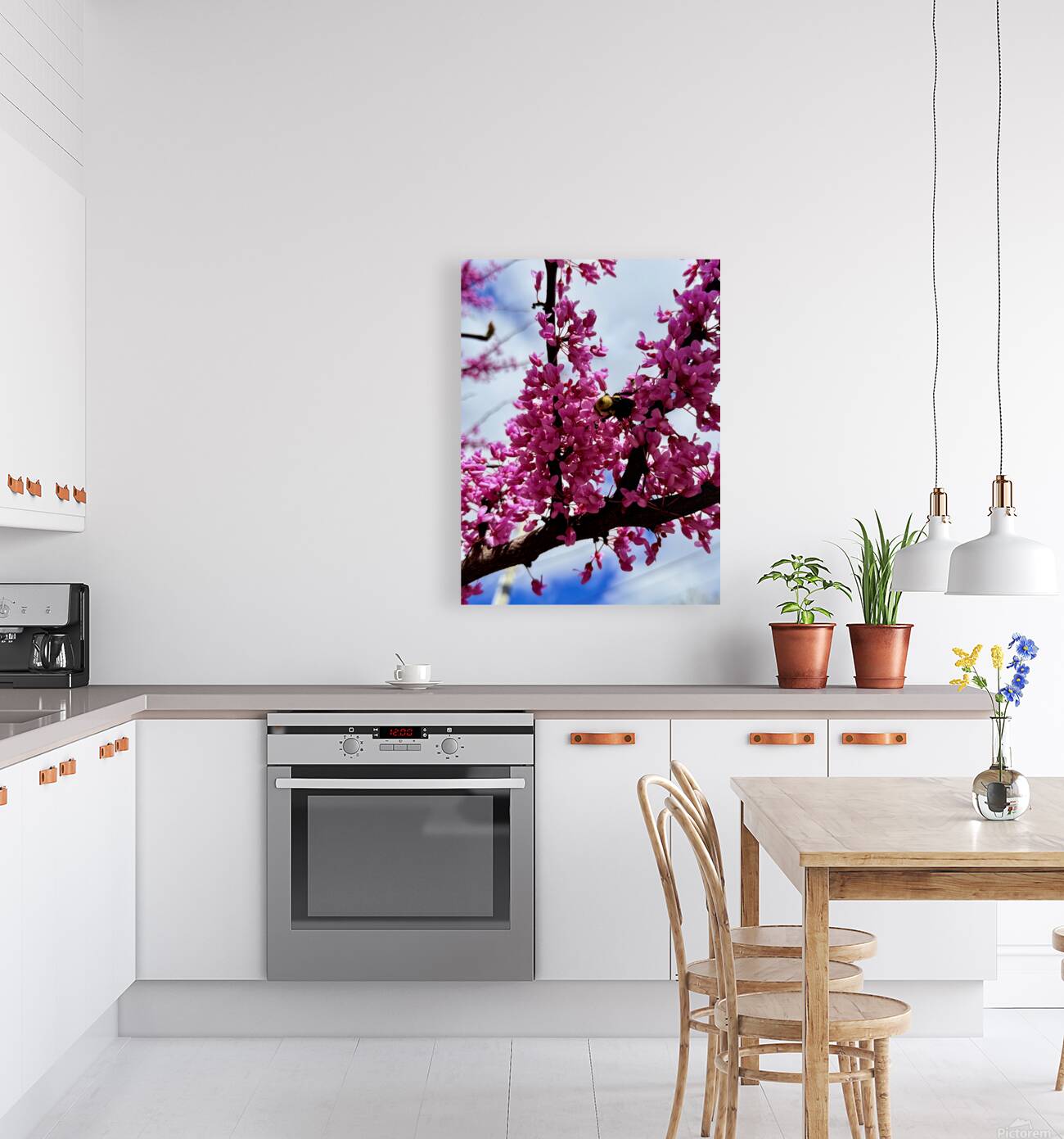 IMG 1528 Reproduction