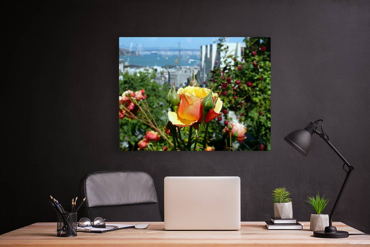 A City Rose Reproduction