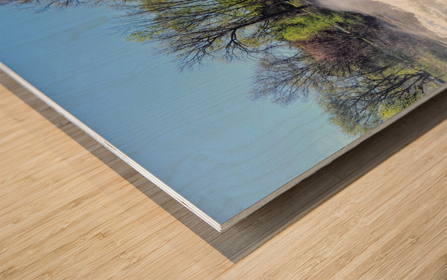 Where the Earth Breathes in Light and Water Wood print