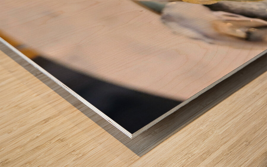 Elegy in Shell Minor Wood print