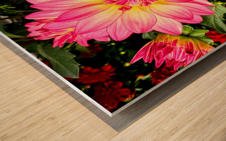 Petal Prism: Nature’s Geometry Wood print