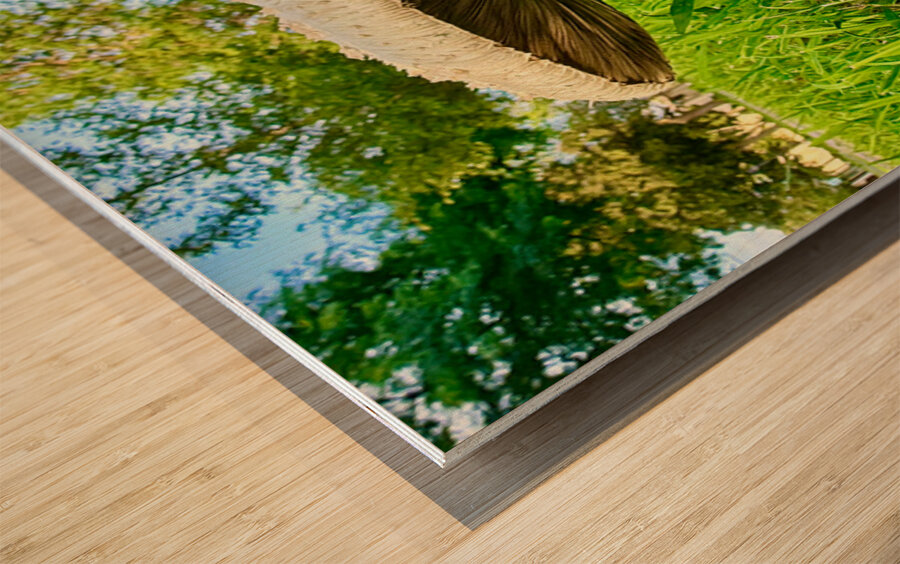 The Watcher in the Grass Wood print