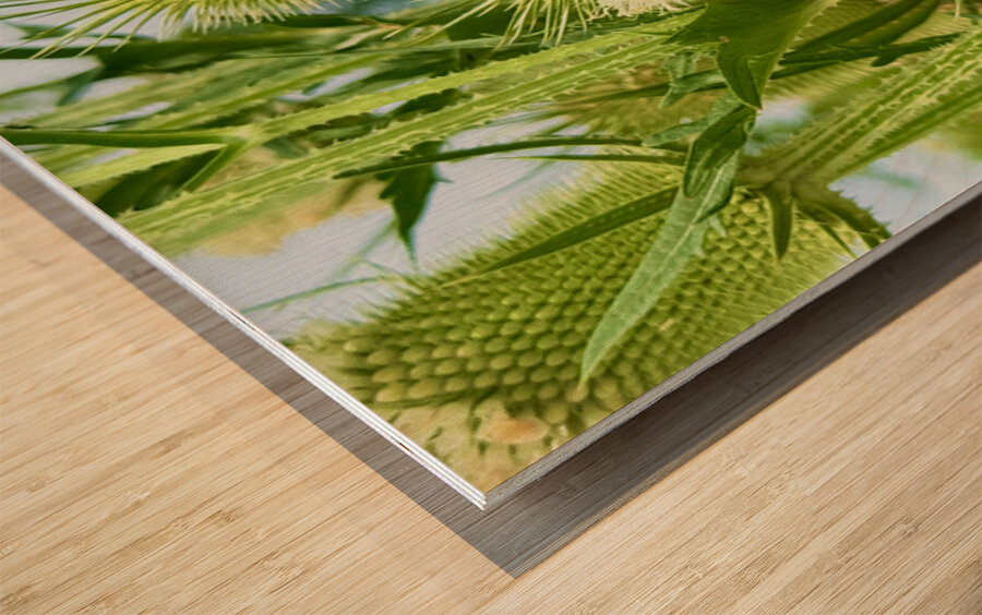 Wings and Spikes Wood print