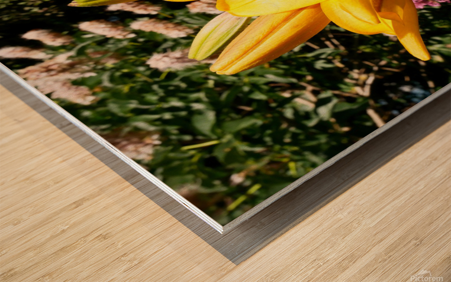 Bursting Beauty Wood print