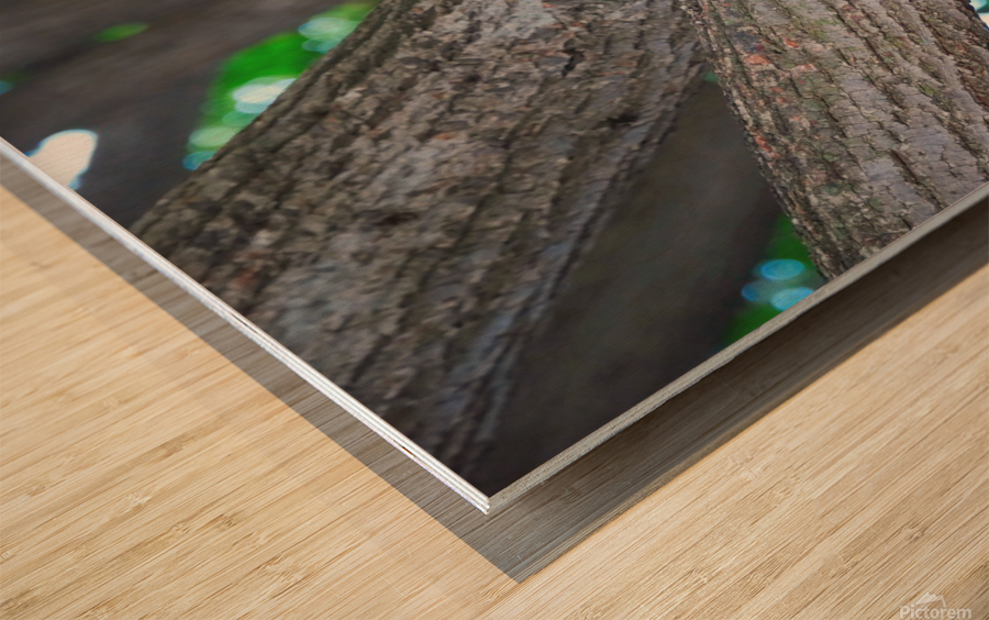 Yes I like Chicken Wings  Wood print