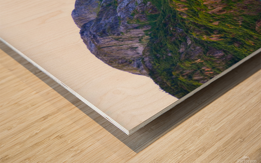 Majestic Mountains of Alaska Wood print