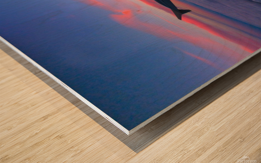 Flying into the Sunset 2 Wood print