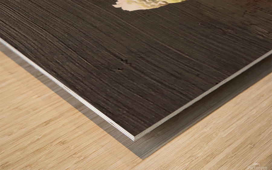 Climbing Mount Mochi Wood print