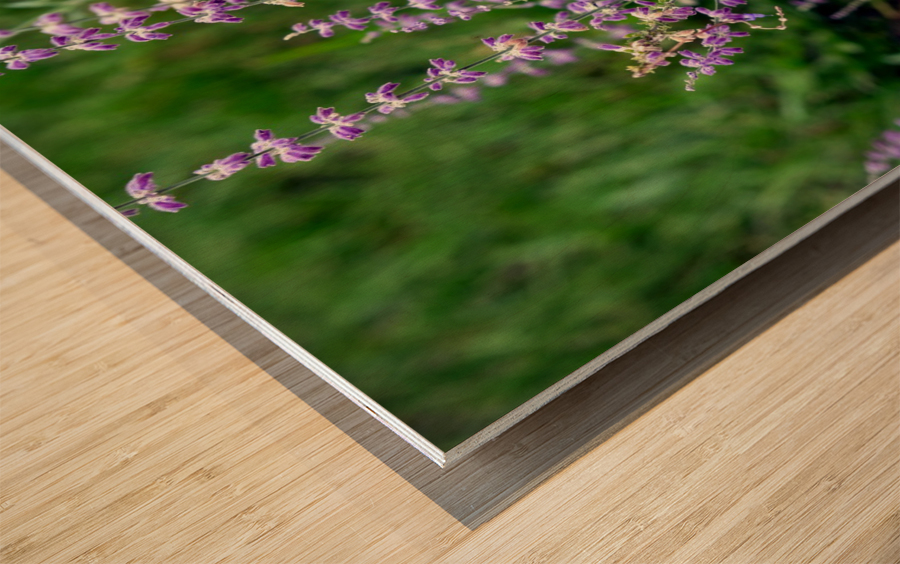 Towers of Lavender Wood print