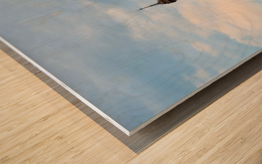 Eiffel Tower 1C Wood print