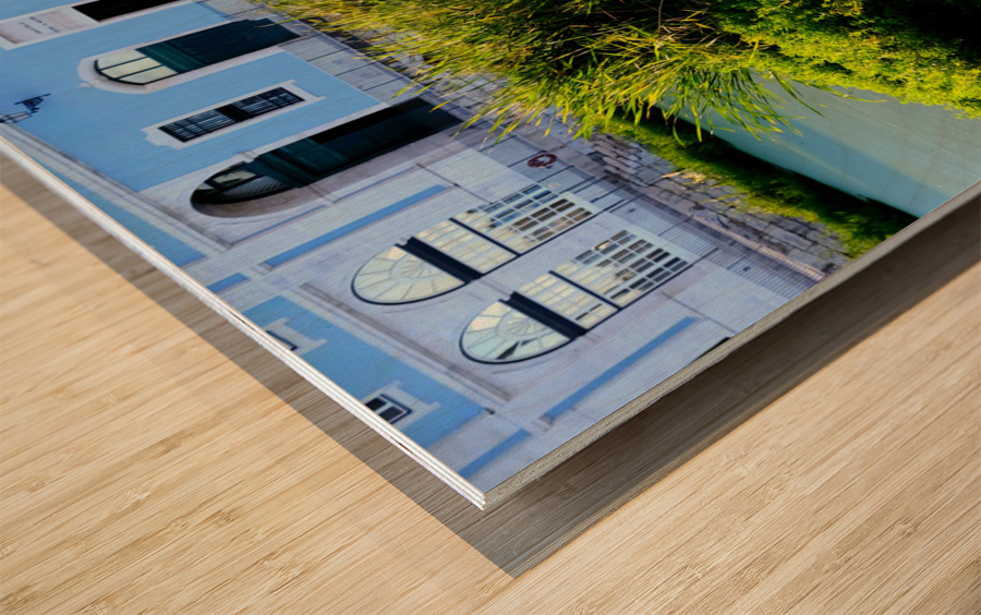 Ducking the Tourists Wood print