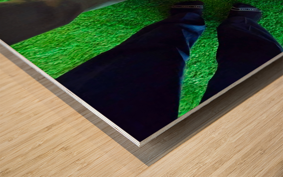 Fancy Feet Team Huddle  Wood print