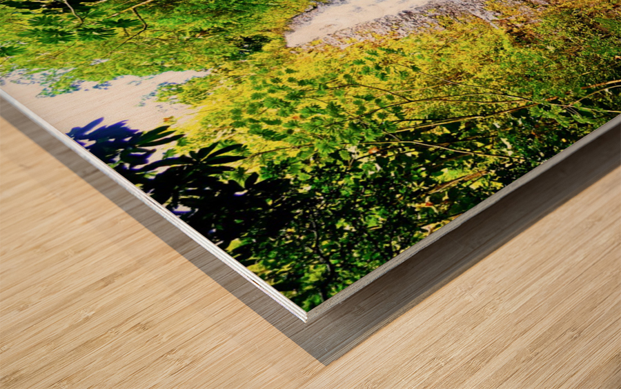 Falling for Colors B Wood print