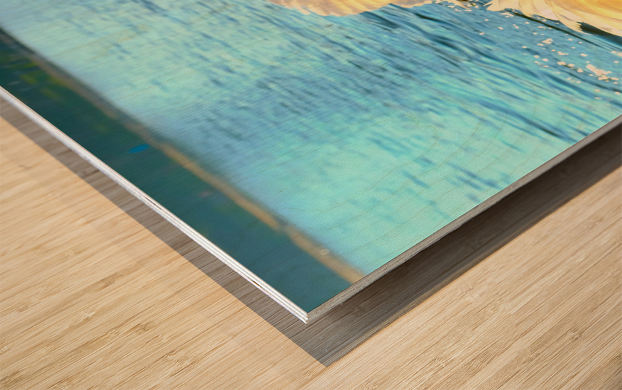 Wings of Love Pair 3 Wood print