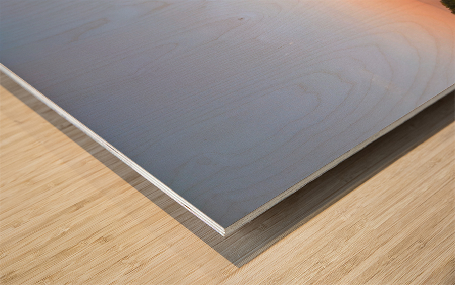 Pastel Journey Wood print